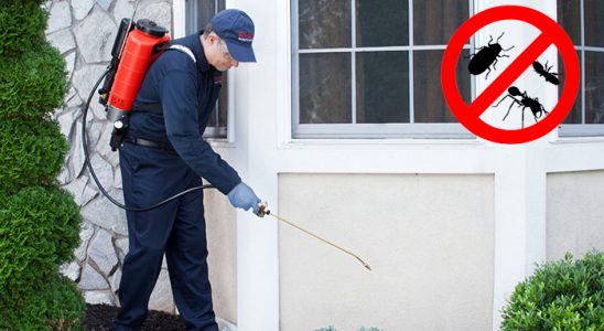 Korgun Gümüşkurt İlaçlama böcek ilaçlama ve haşere kontrolü — ilaclama-tr.com